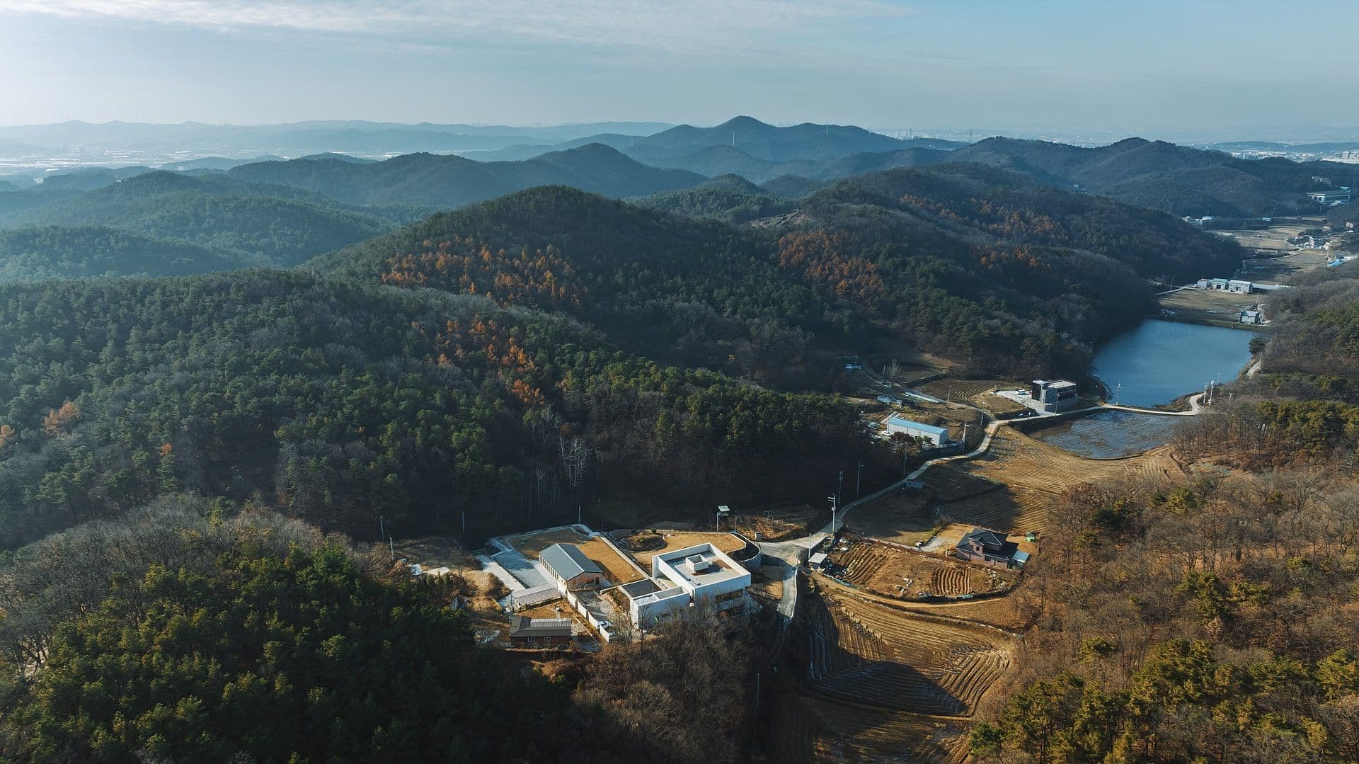 Launch of Trivium Website